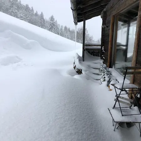 Auhaeuslalm Villa Maria Alm am Steinernen Meer Exterior photo