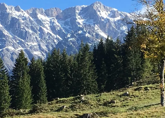 Auhaeuslalm