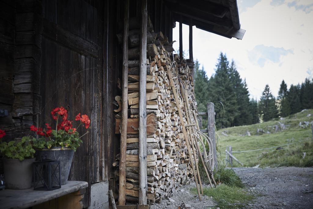 Auhaeuslalm Chalet