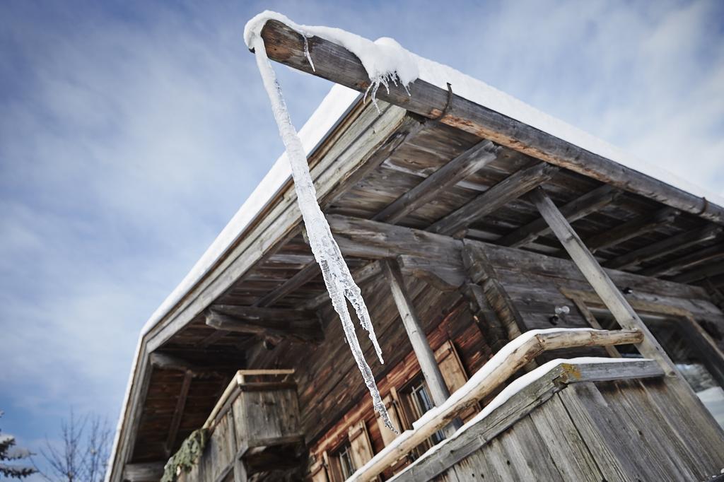 Auhaeuslalm Chalet
