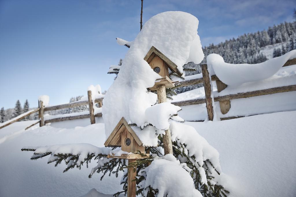 Auhaeuslalm Chalet *