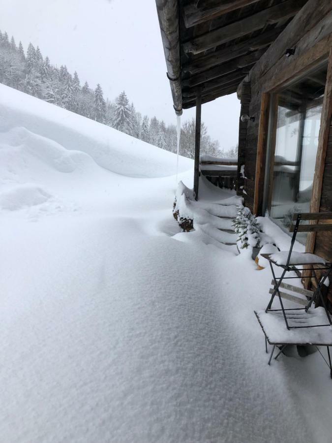 Chalet Auhaeuslalm Maria Alm am Steinernen Meer