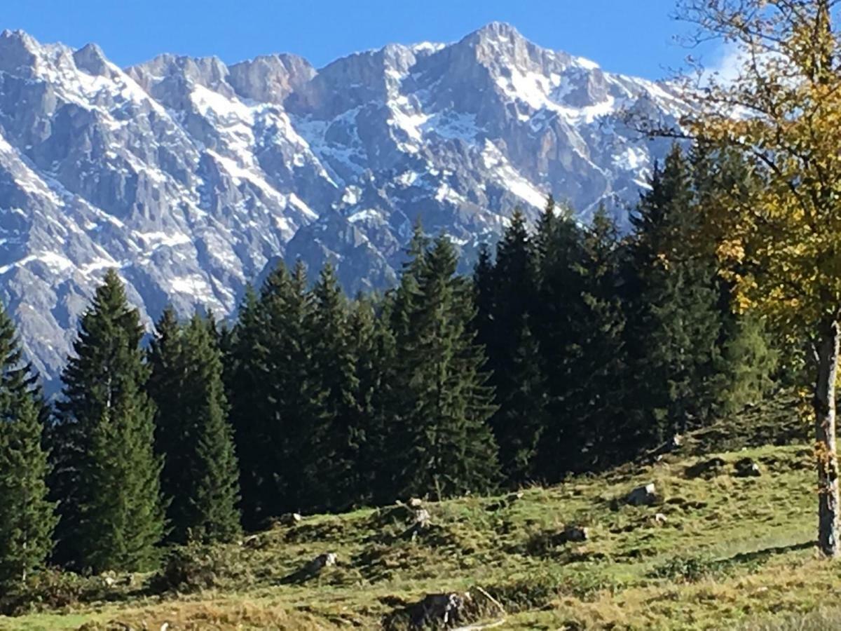 Auhaeuslalm Chalet Maria Alm am Steinernen Meer